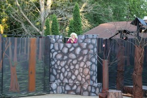 10425141_591223544324190_245770503025157160_n_56